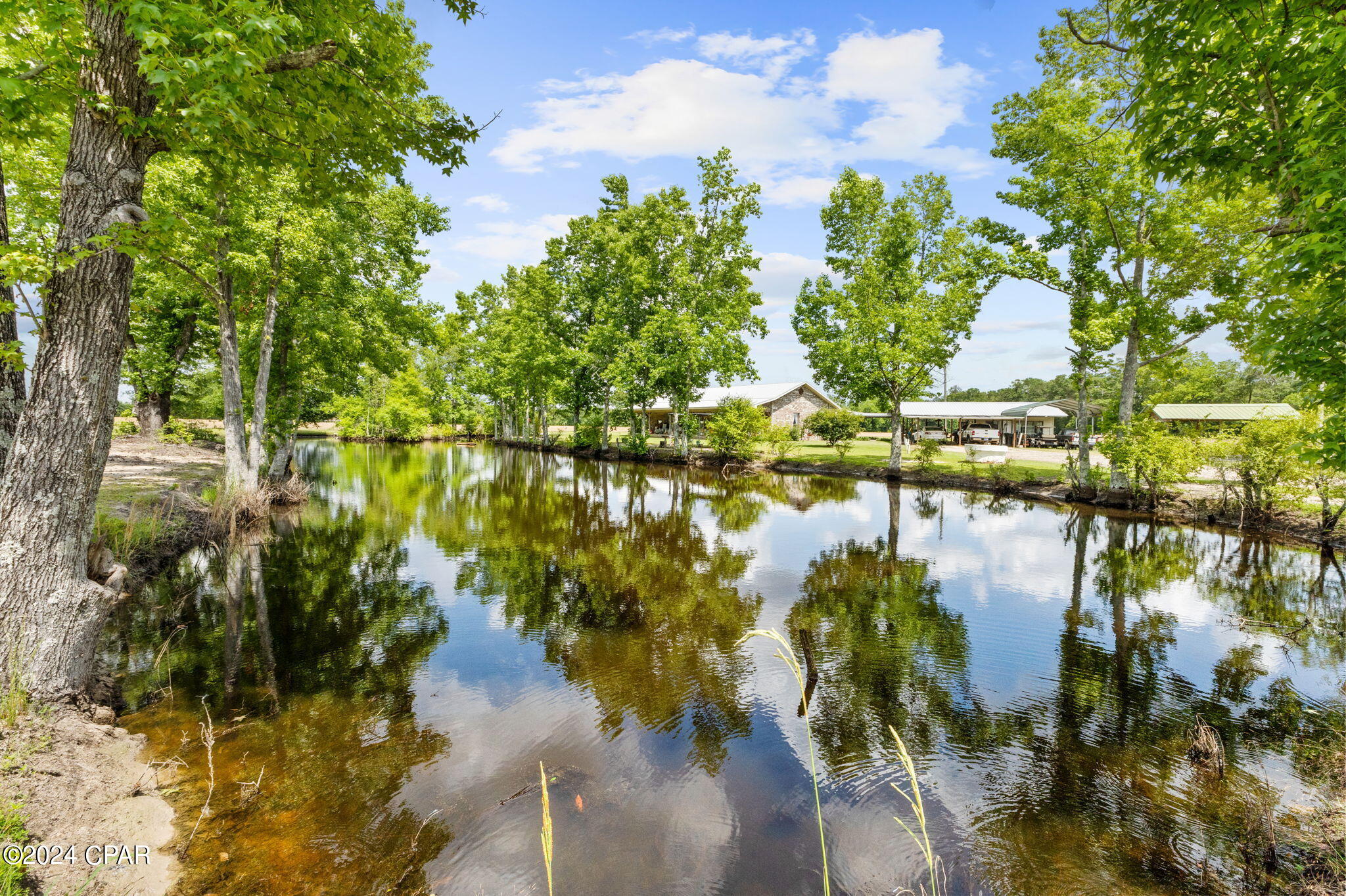 4180 Highway 273 Cottondale, FL 32431 - Photo 47 of 58