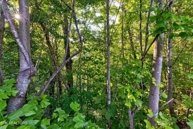 $59,900 | Lot 64 Redtail Road, Sevierville, TN 37862