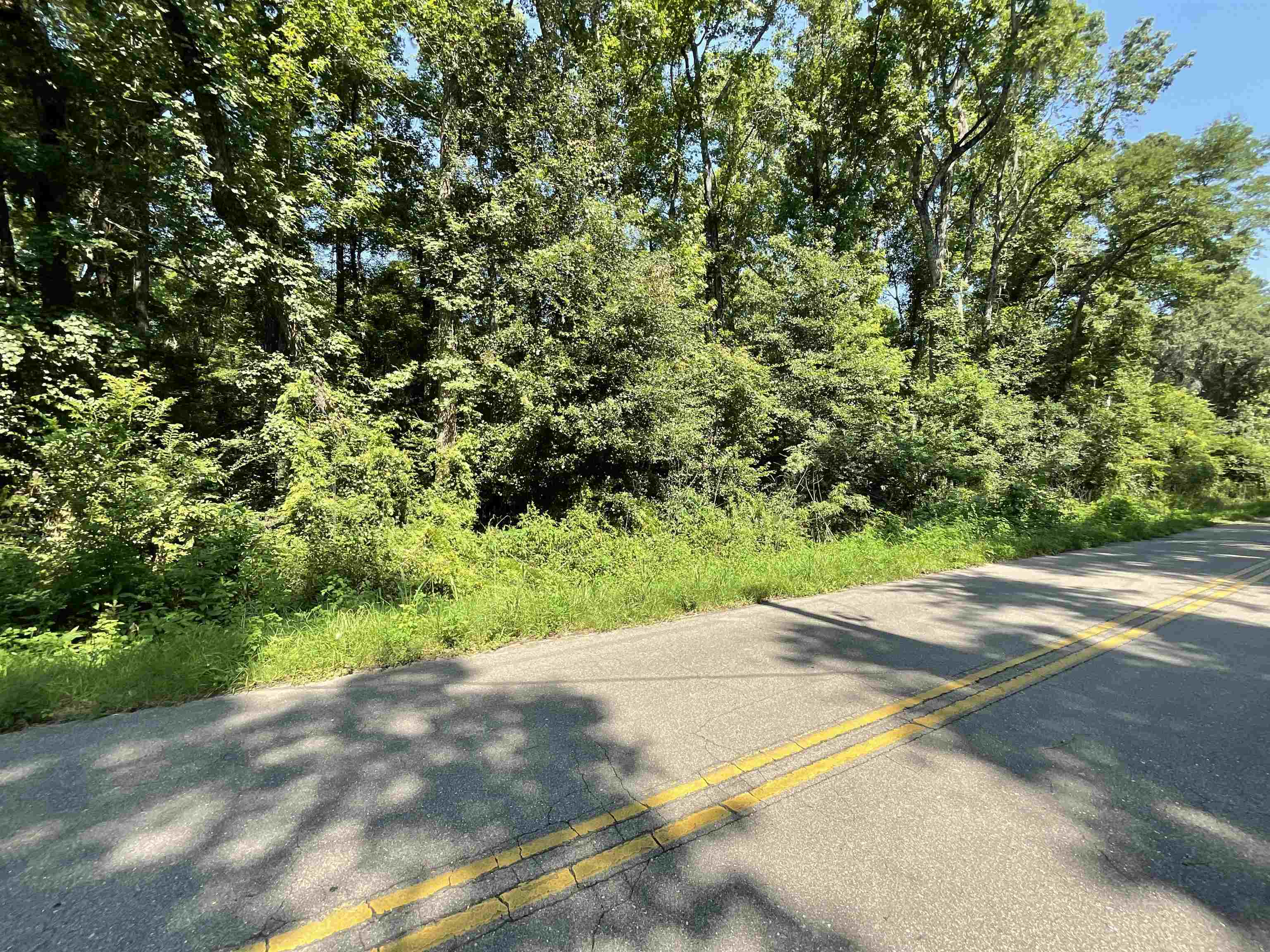 Hugh Road Tallahassee, FL 32309 - Photo 1 of 2