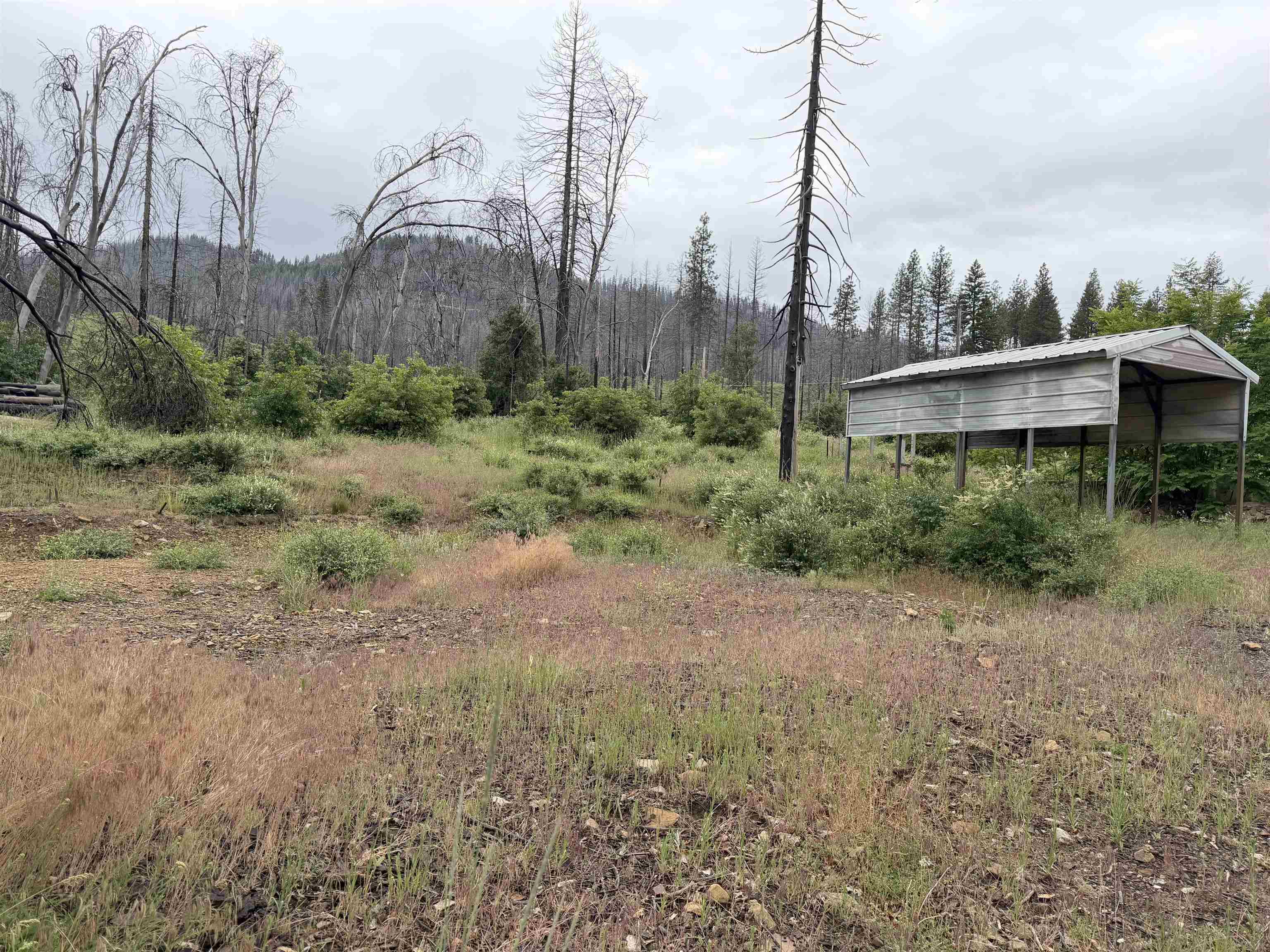 152 Standardt Mine Road Greenville, CA 95947 - Photo 4 of 7