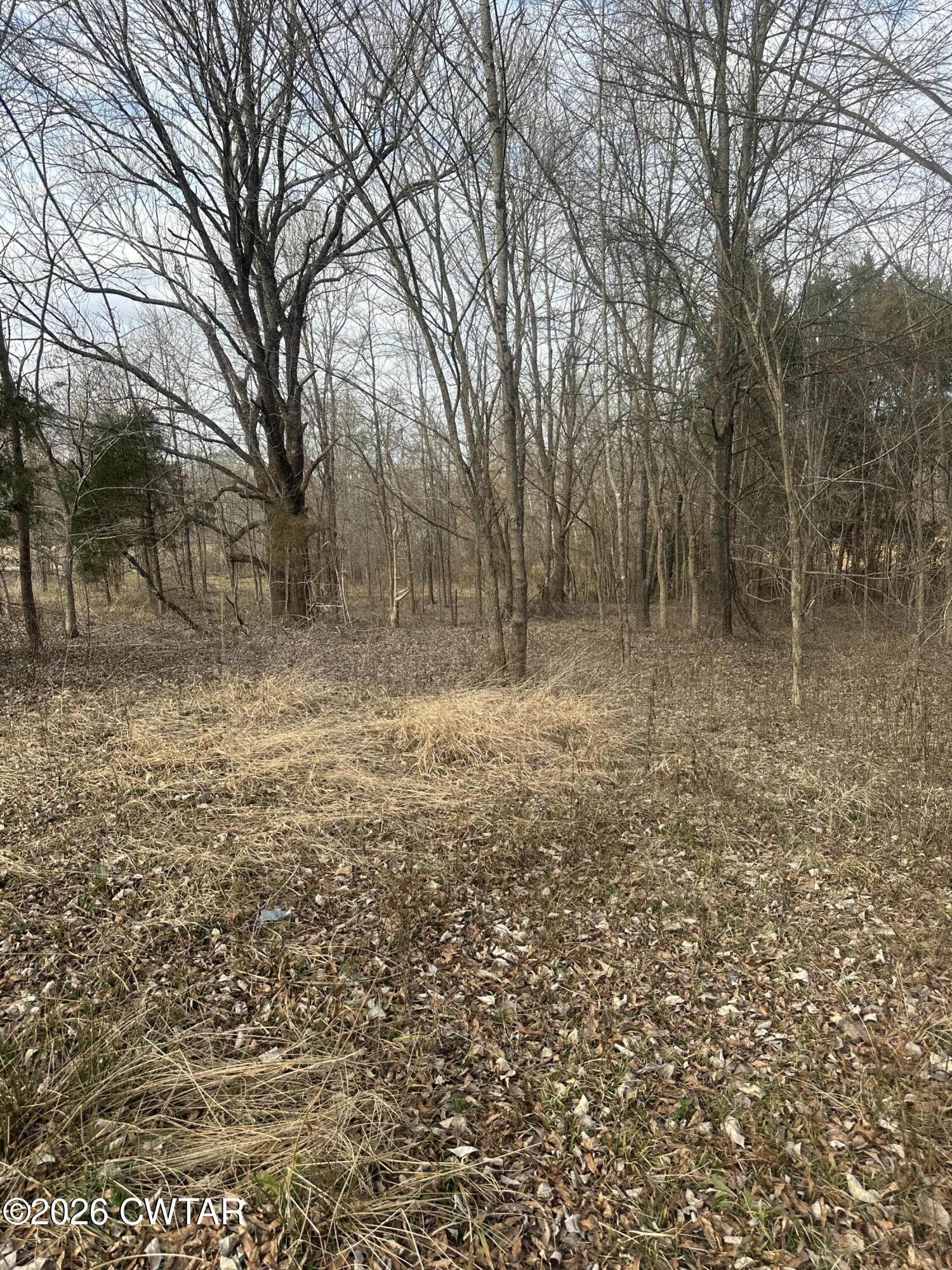 0 Bear Creek Road Pinson, TN 38366 - Photo 13 of 32 IMG_2082