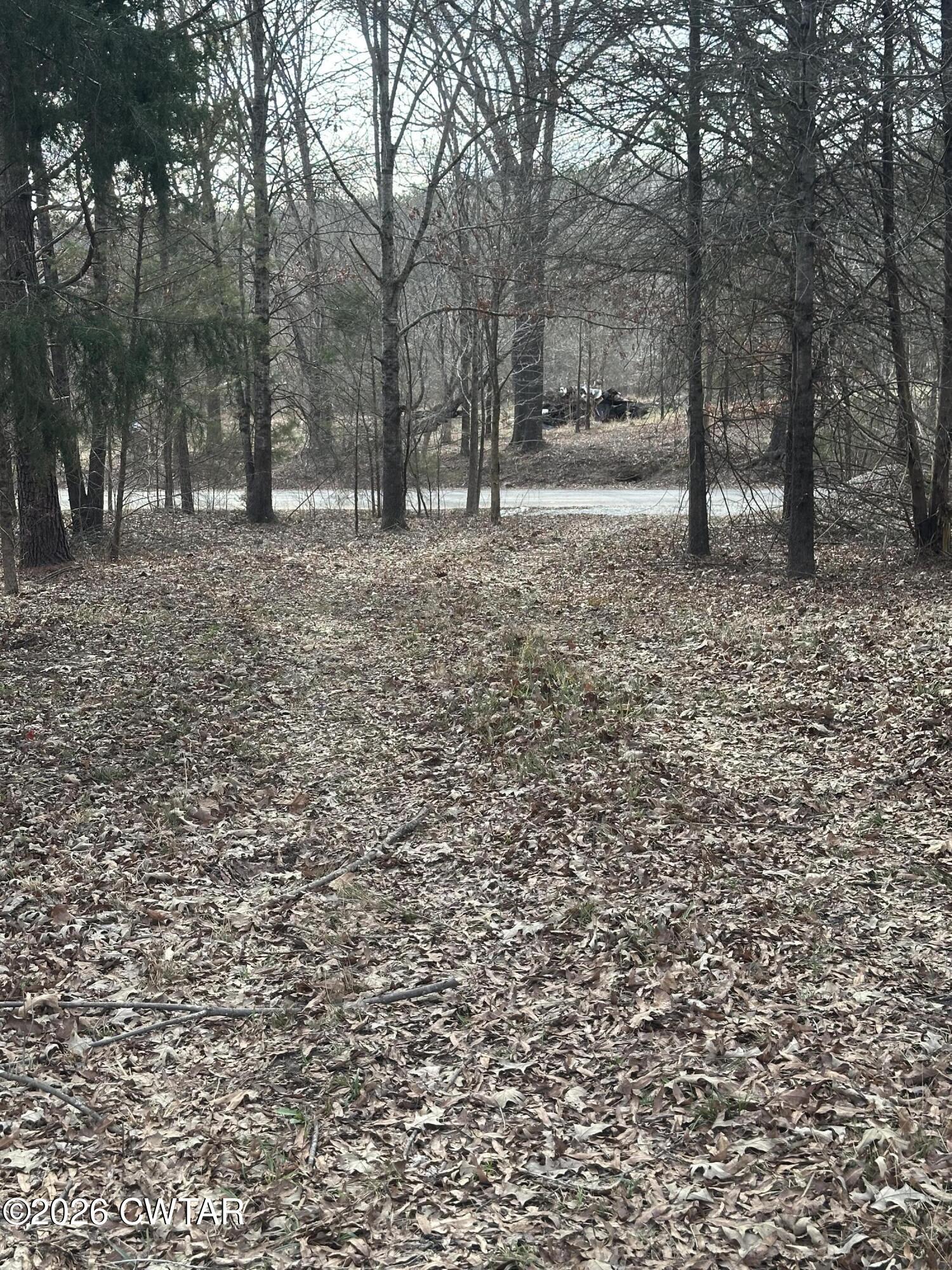 0 Bear Creek Road Pinson, TN 38366 - Photo 14 of 32 IMG_2074