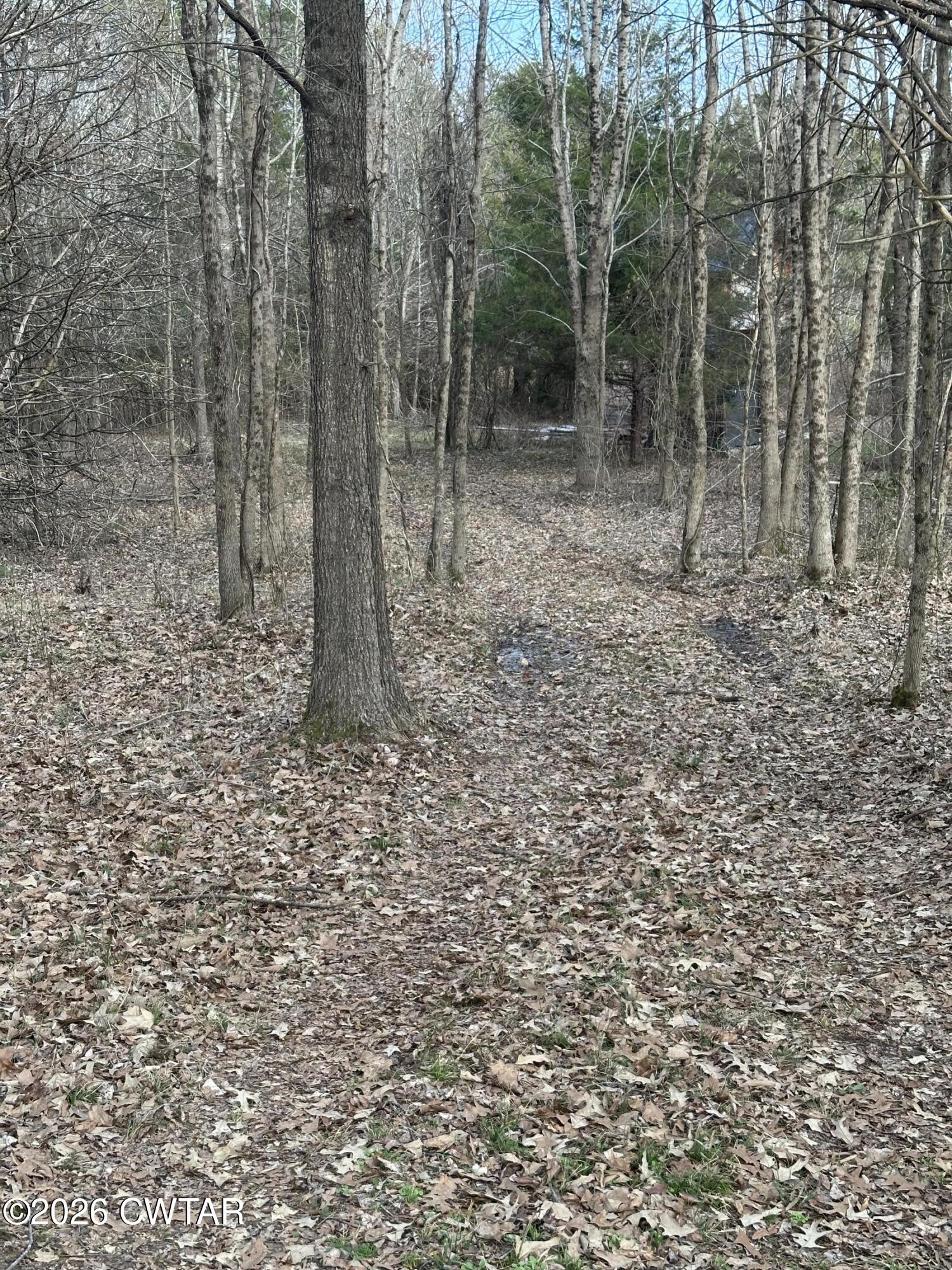 0 Bear Creek Road Pinson, TN 38366 - Photo 15 of 32 IMG_2076