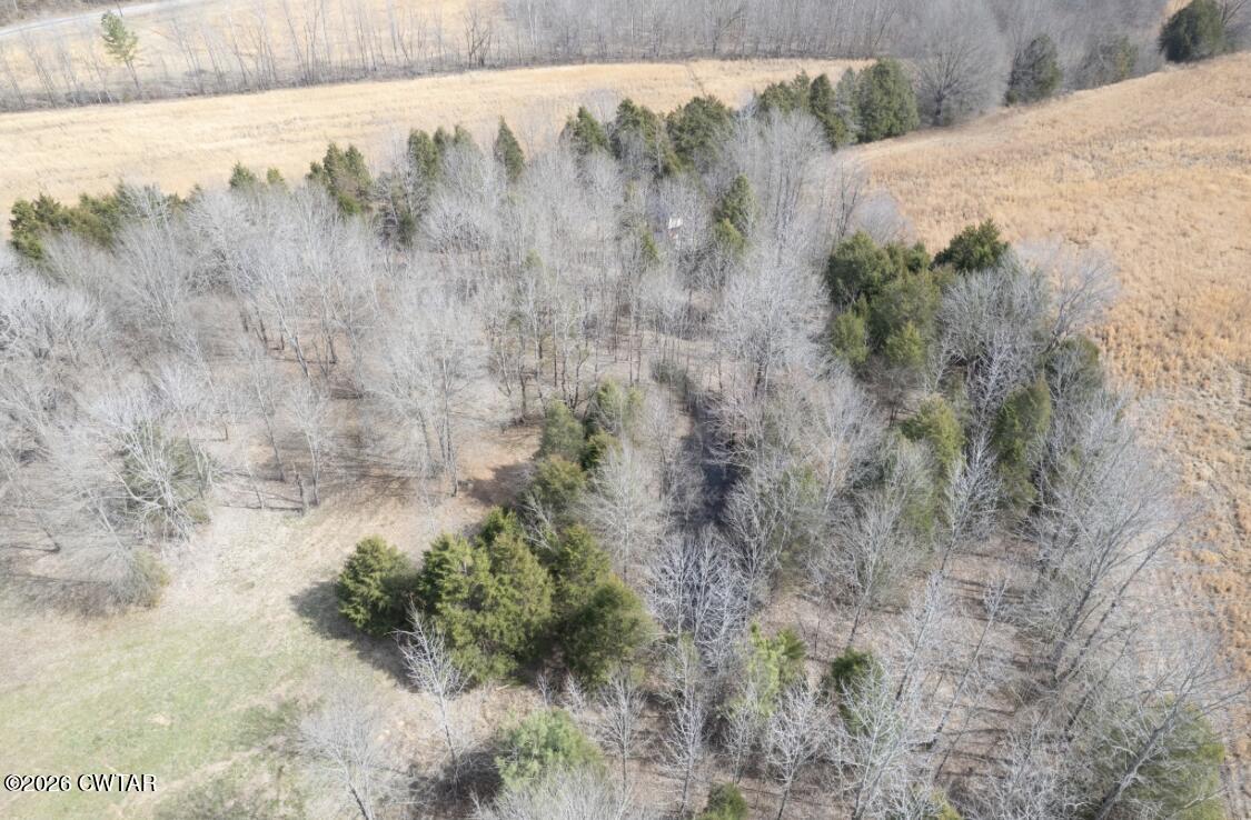 0 Bear Creek Road Pinson, TN 38366 - Photo 18 of 32 IMG_8153