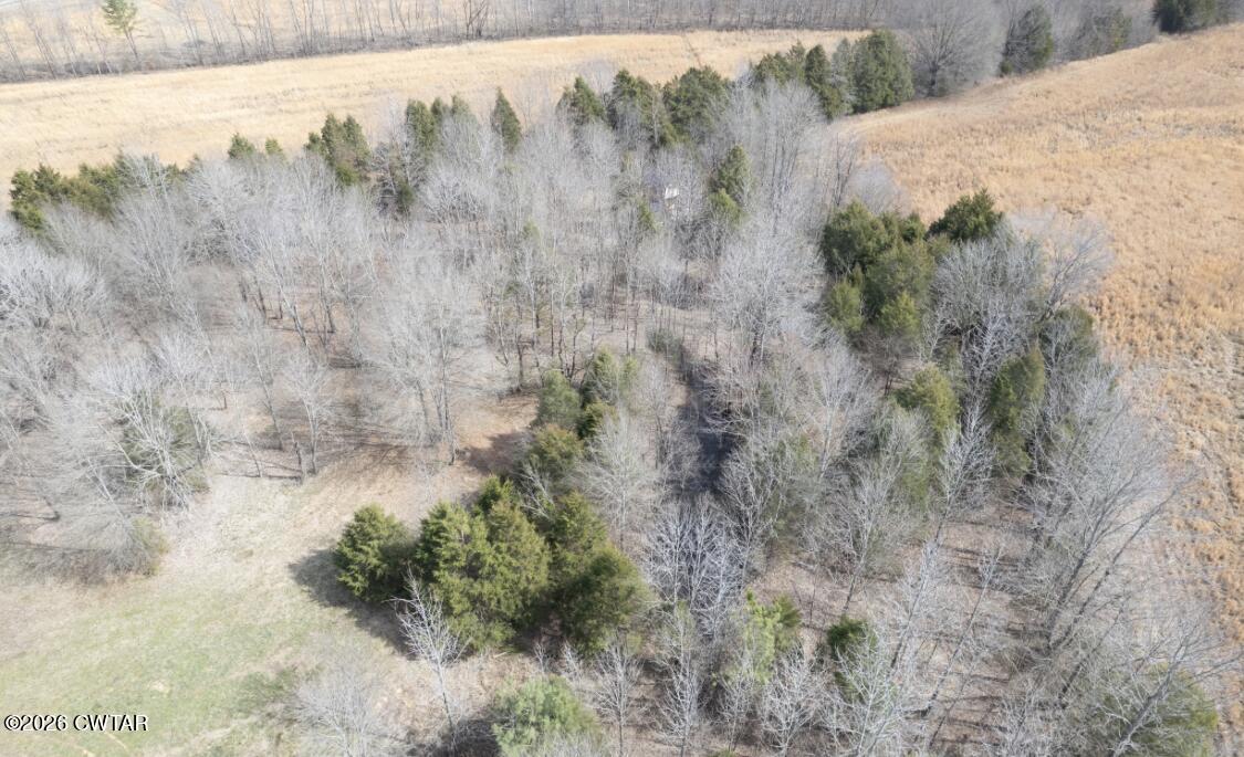 0 Bear Creek Road Pinson, TN 38366 - Photo 29 of 32 IMG_8167