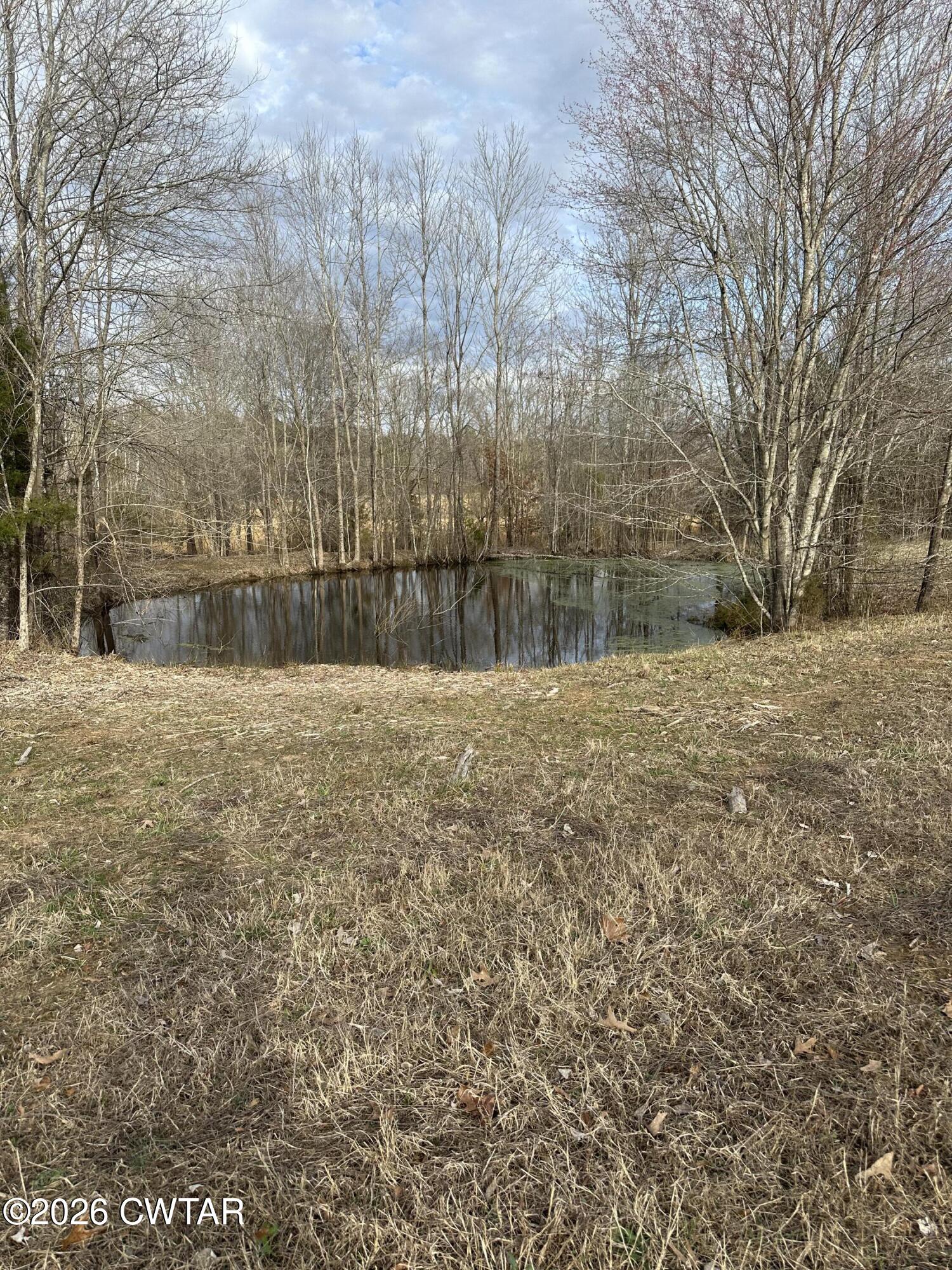 0 Bear Creek Road Pinson, TN 38366 - Photo 4 of 32 IMG_2070