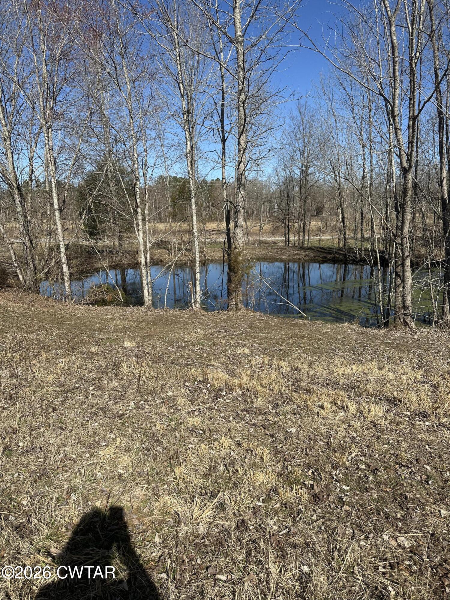 0 Bear Creek Road Pinson, TN 38366 - Photo 6 of 32 IMG_2066