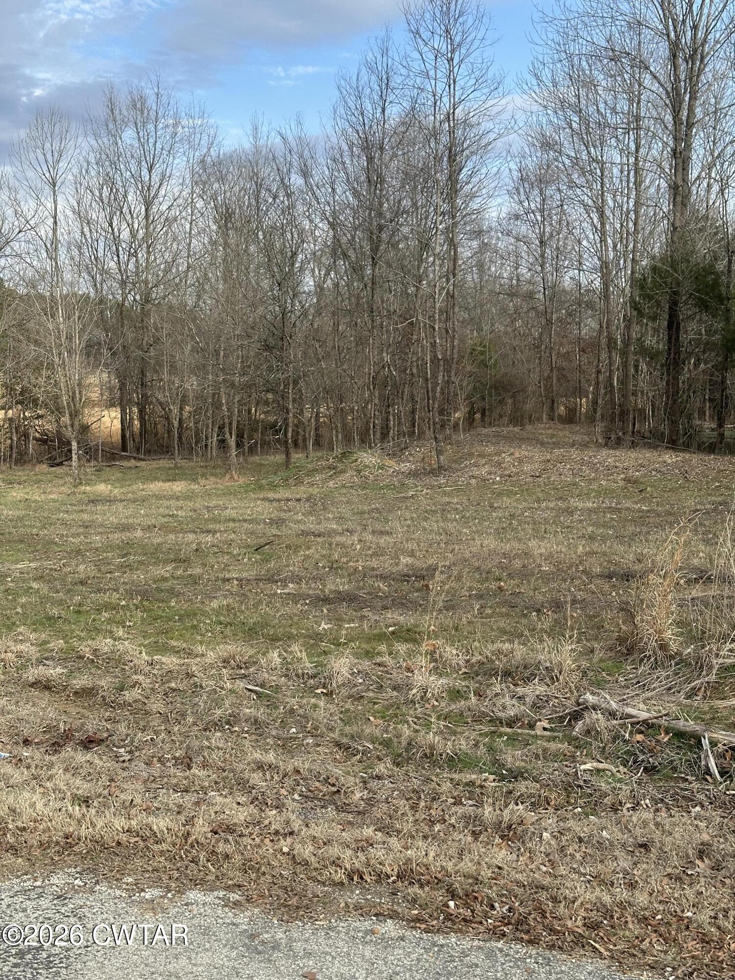 0 Bear Creek Road Pinson, TN 38366 - Photo 7 of 32 IMG_2068