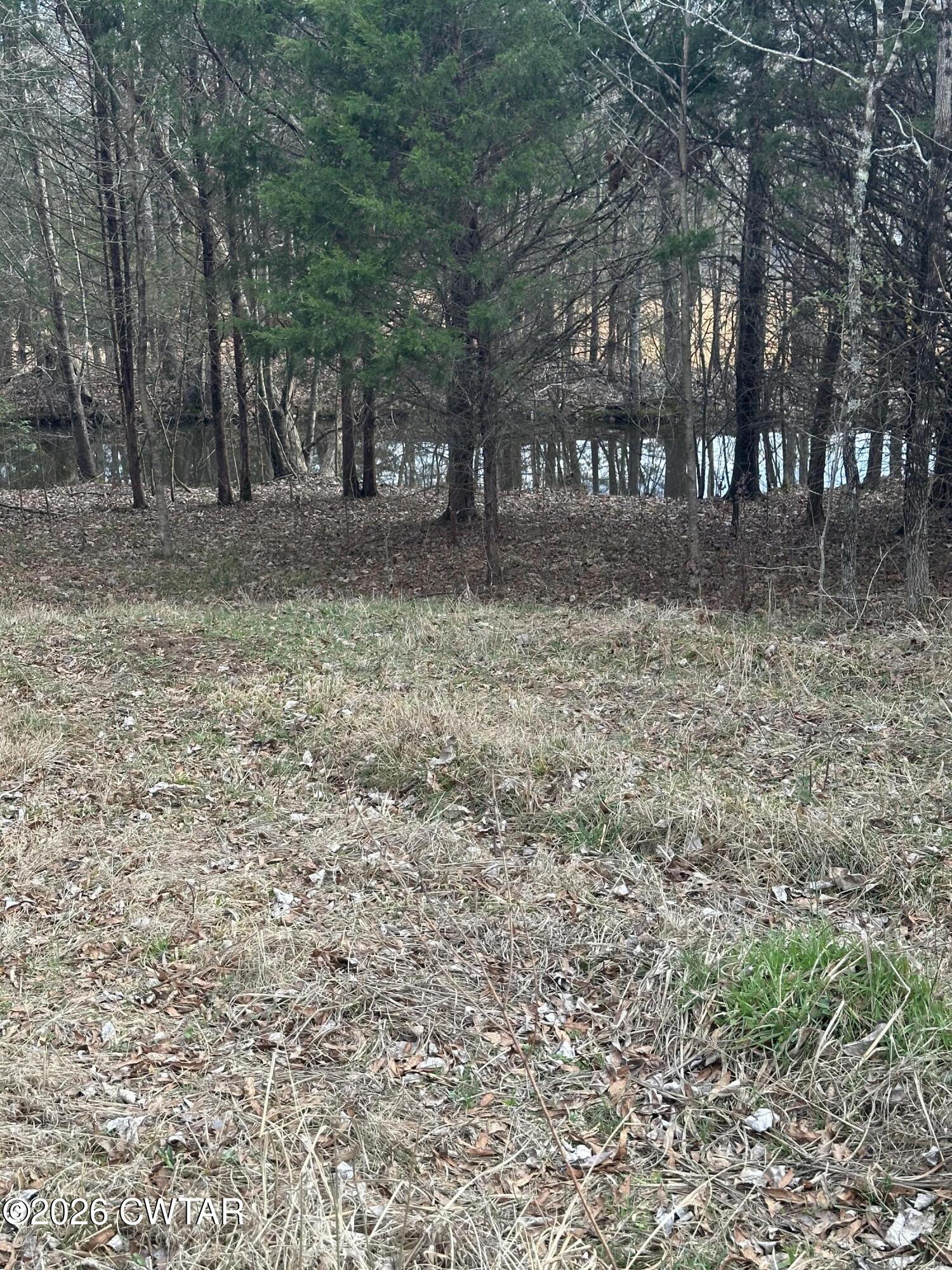 0 Bear Creek Road Pinson, TN 38366 - Photo 8 of 32 IMG_2075