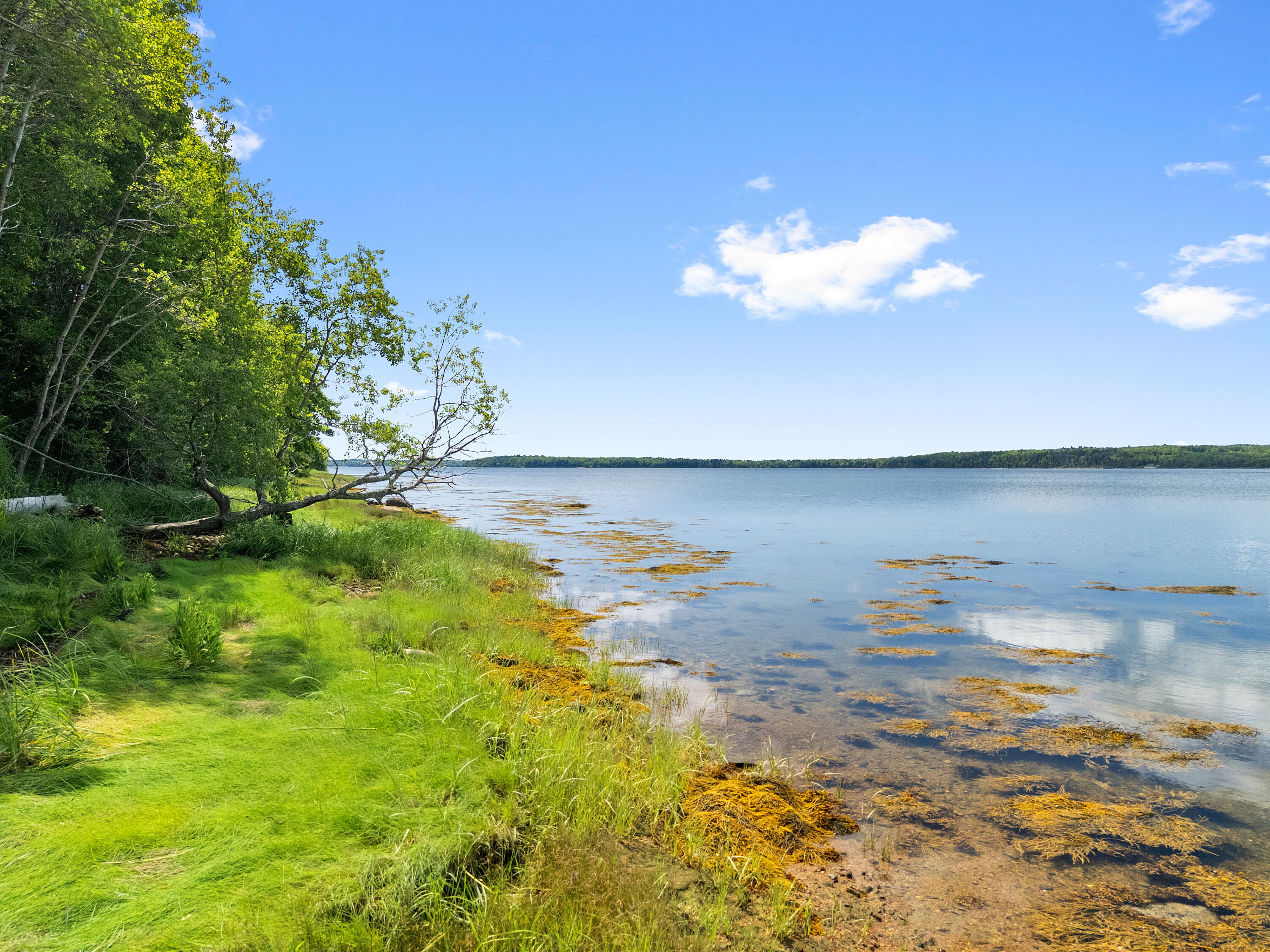 95 Osprey Reach Road Stockton Springs, ME 04981 - Photo 18 of 72 Waters Edge