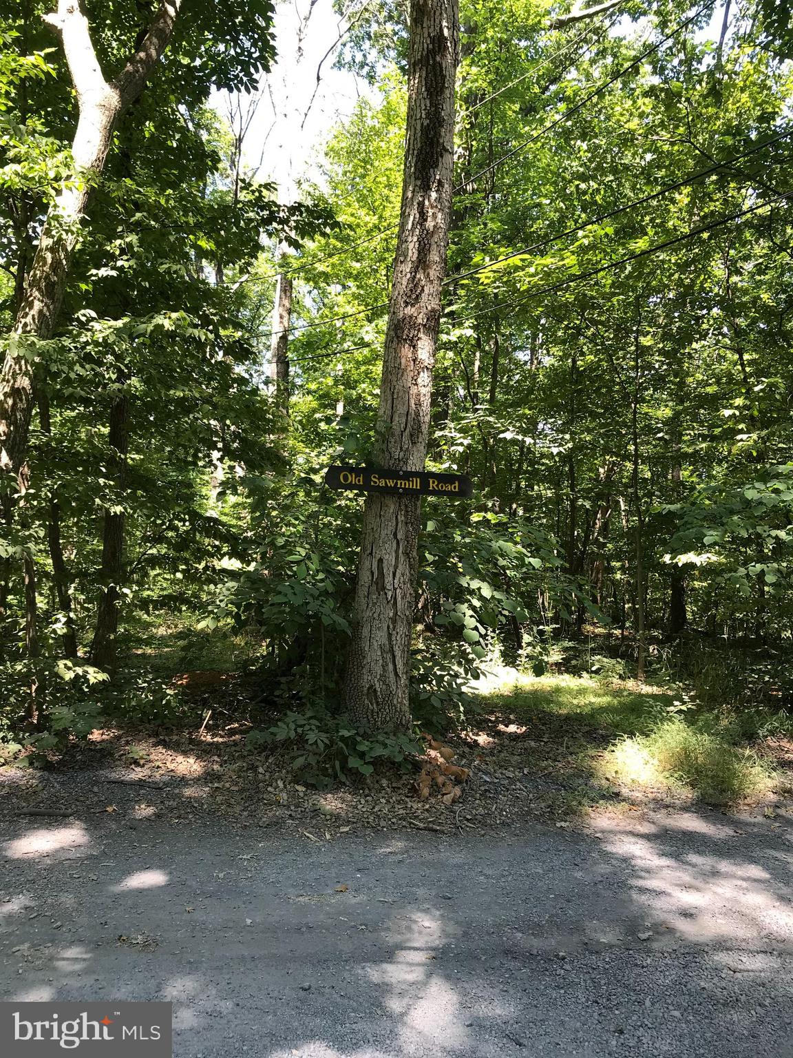 0 Old Sawmill Road Front Royal, VA 22630 - Photo 3 of 13 a backyard of a house with a yard and outdoor seating