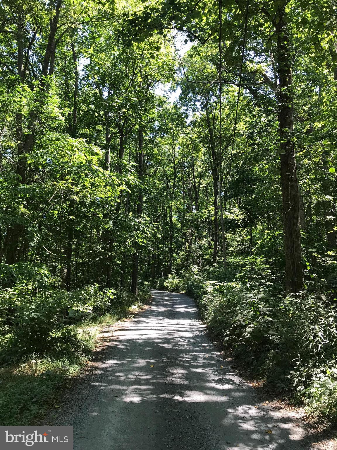 0 Old Sawmill Road Front Royal, VA 22630 - Photo 4 of 13 a view of outdoor space and trees