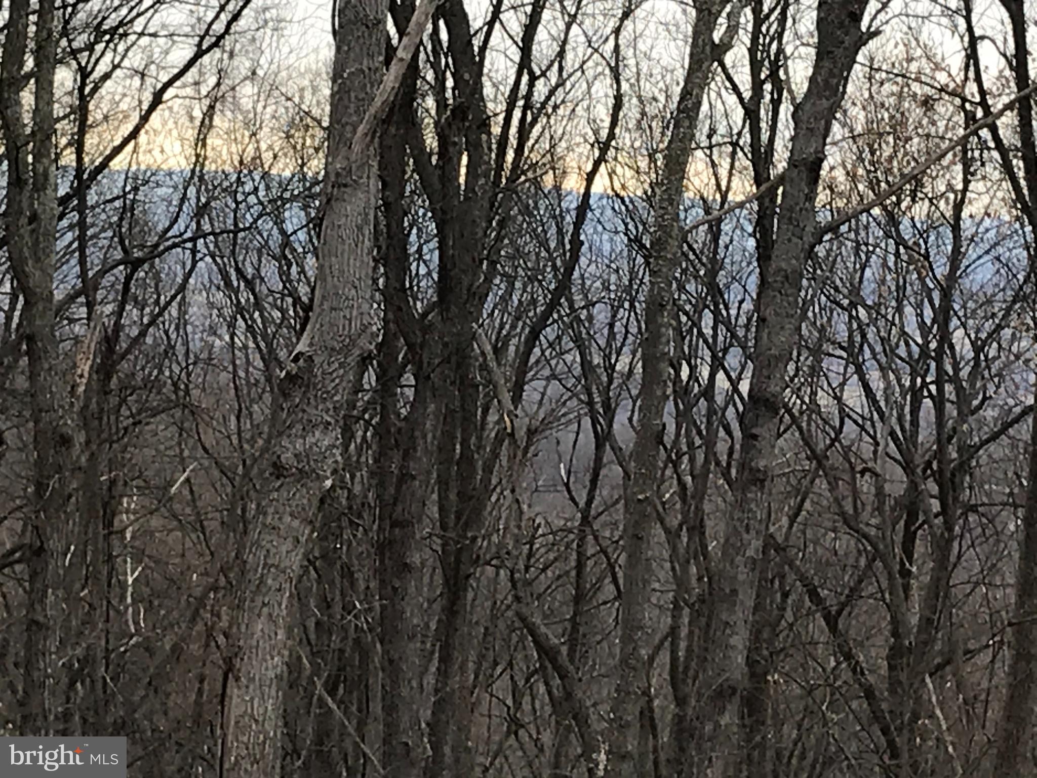 0 Old Sawmill Road Front Royal, VA 22630 - Photo 5 of 13 outdoor view