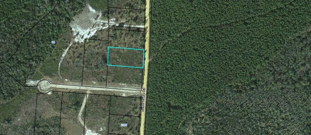 Lot 69 Buster Walker Road, Unit 69 Waynesville, GA 31566 - Photo 1 of 1