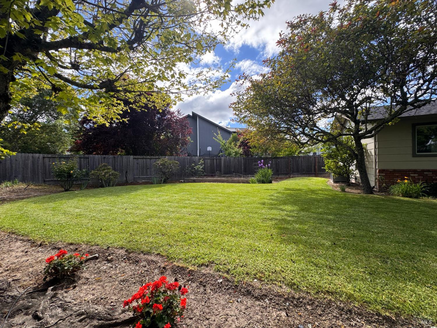 135 Fulton Place Windsor, CA 95492 - Photo 6 of 41 a view of a backyard with a garden