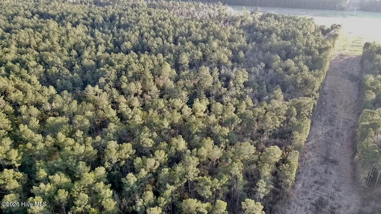 0 Rogers Mill Road Rose Hill, NC 28458 - Photo 8 of 62 2025-12-24-16-08-10-658