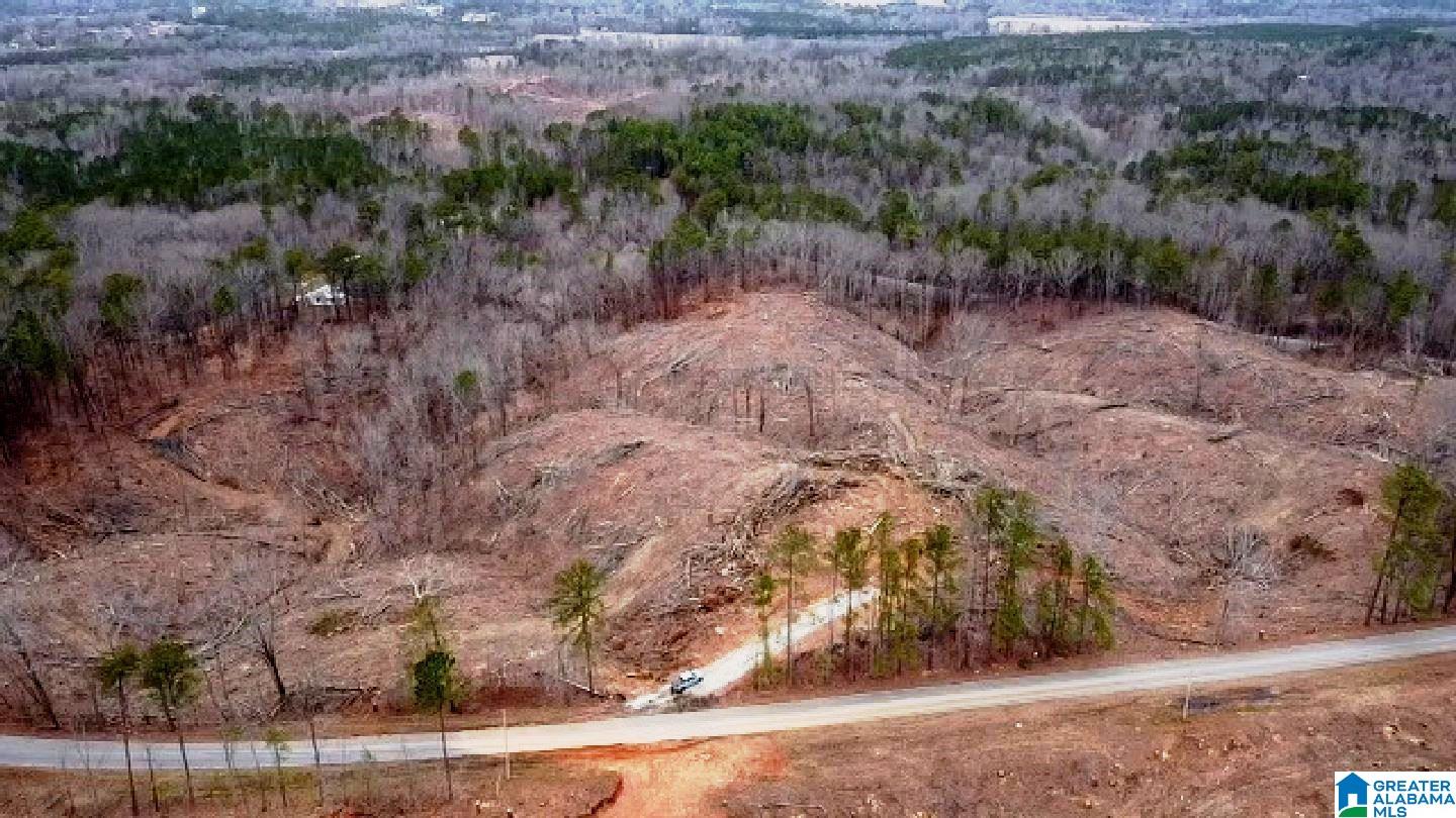 127 County Road, Unit 32 99 Sylacauga, AL 35150 - Photo 3 of 7