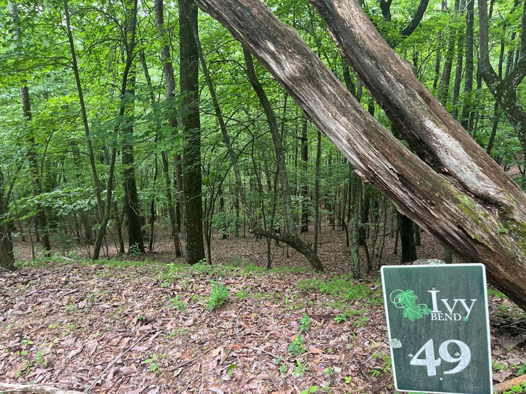Lot 49 Burger Road Murphy, NC 28906 - Photo 3 of 7