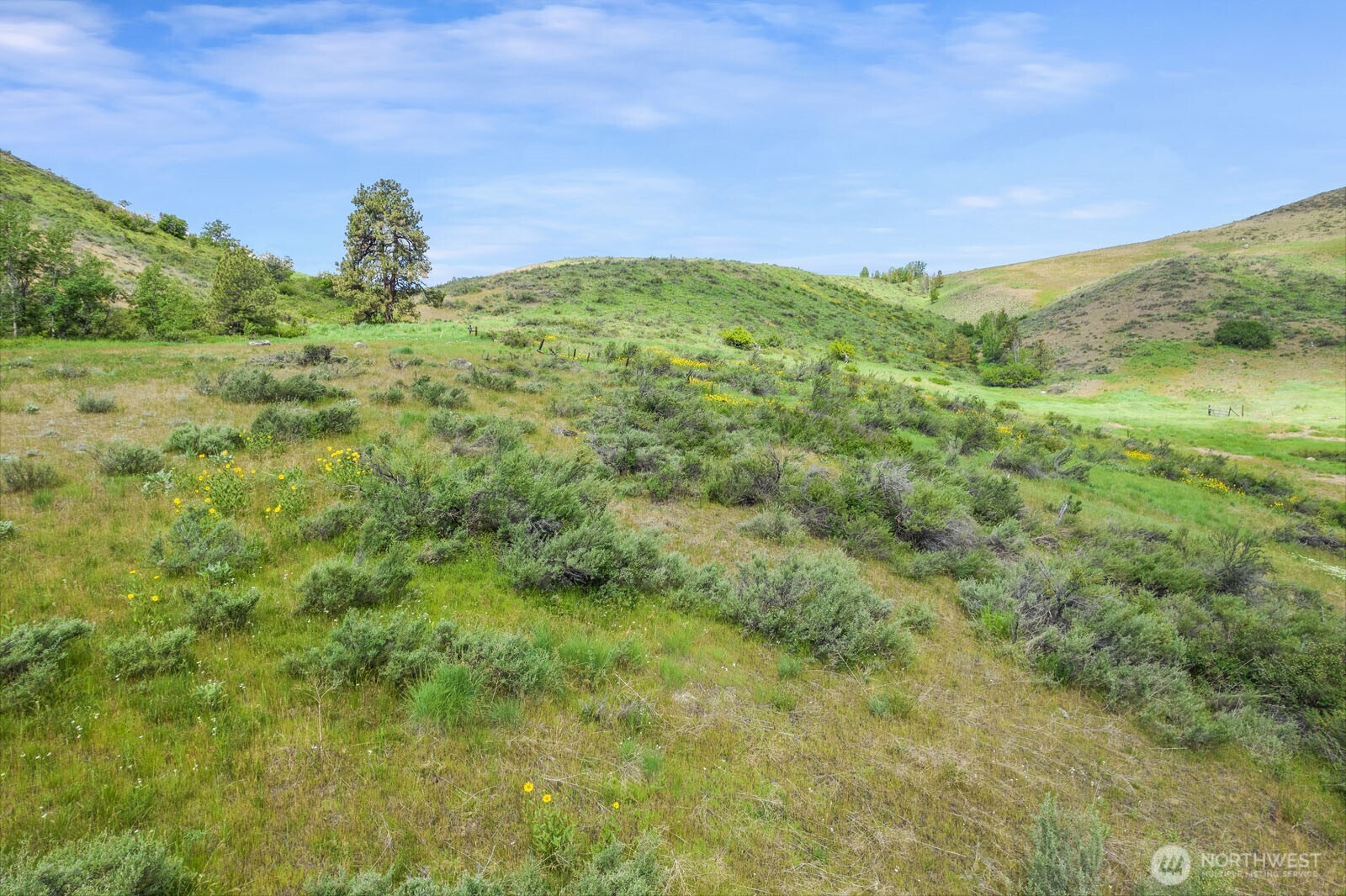 29 Heritage Rose Road Winthrop, WA 98862 - Photo 4 of 33