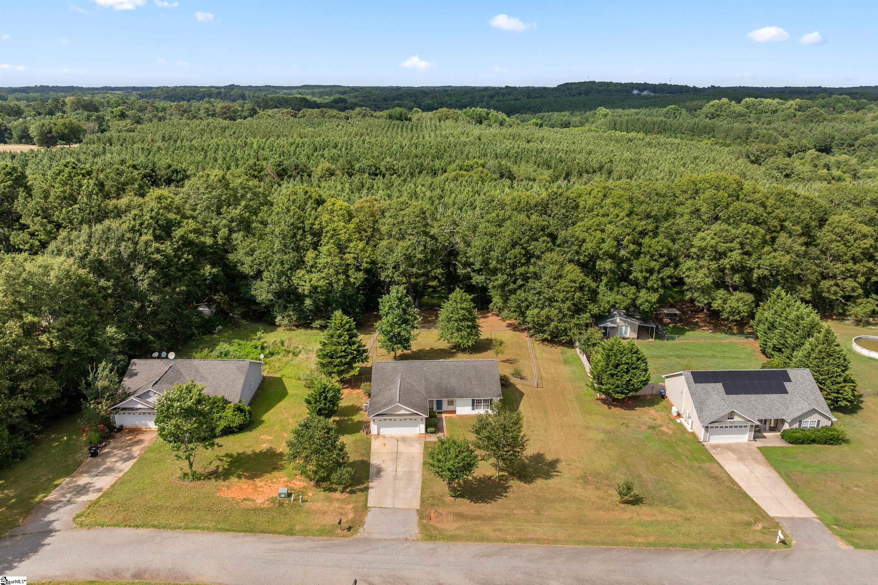 203 Turkey Trot Road Williamston, SC 29697 - Photo 17 of 21