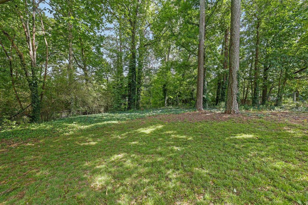 1555 Rock Springs Road Buford, GA 30519 - Photo 24 of 27 a backyard of a house with lots of green space