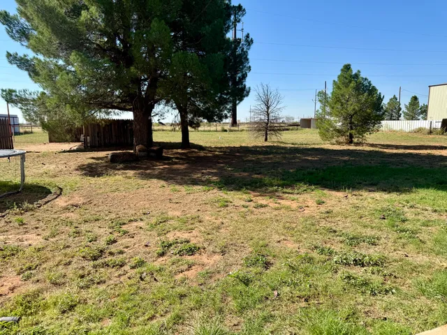 a view of a yard with a tree