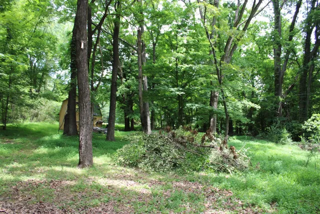 a view of outdoor space and green space
