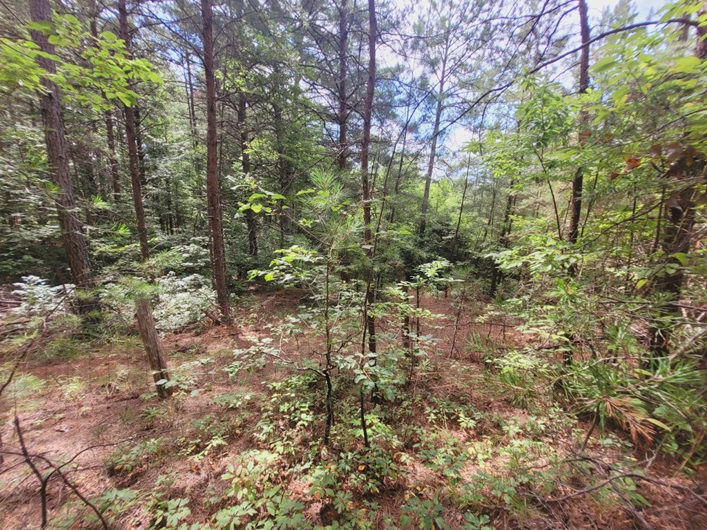249 Bethlehem Road Copperhill, TN 37317 - Photo 12 of 19 Gallery Image 12