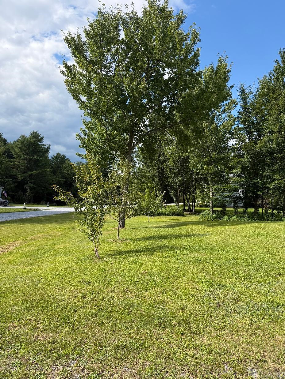 50 Gaudette Farm Road Fairfax, VT 05454 - Photo 24 of 25 Gallery Image 24