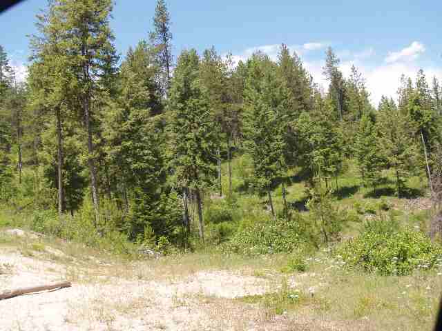 0 Rose Hill Road Springdale, WA 99173 - Photo 3 of 7