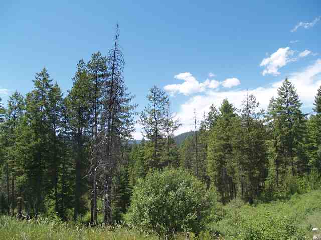 0 Rose Hill Road Springdale, WA 99173 - Photo 4 of 7