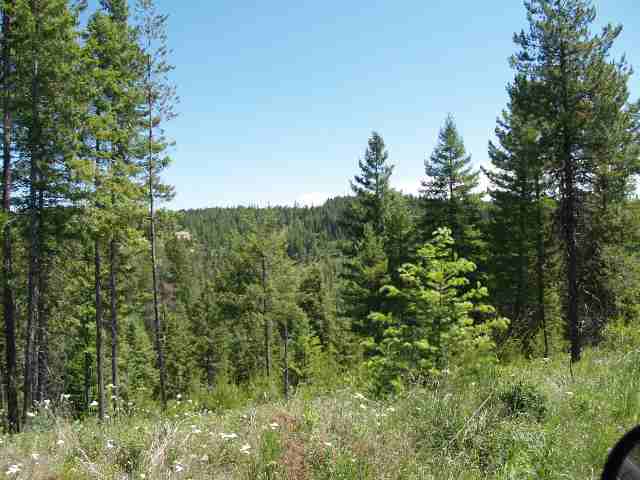 0 Rose Hill Road Springdale, WA 99173 - Photo 5 of 7