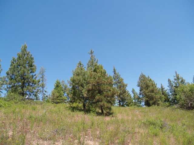 0 Rose Hill Road Springdale, WA 99173 - Photo 6 of 7