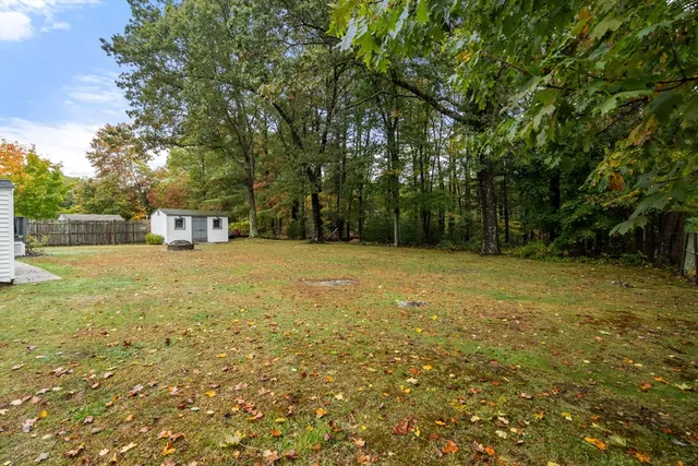a view of a backyard
