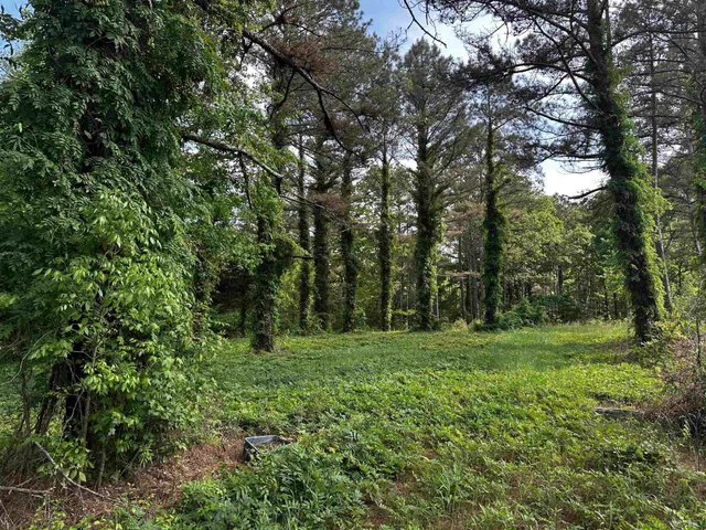 a view of a grassy field with trees in the background