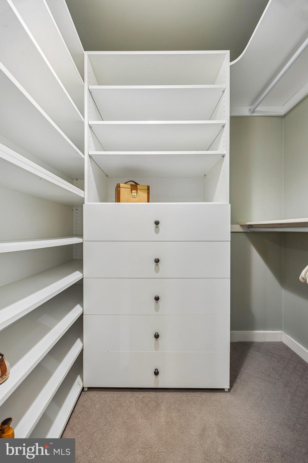 41 Conshohocken State Road, Unit 603 Bala Cynwyd, PA 19004 - Photo 22 of 37 a view of an empty walk in closet