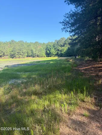 $678,500 | Tbd Jones Spring Church Road, Ellerbe, NC 28338
