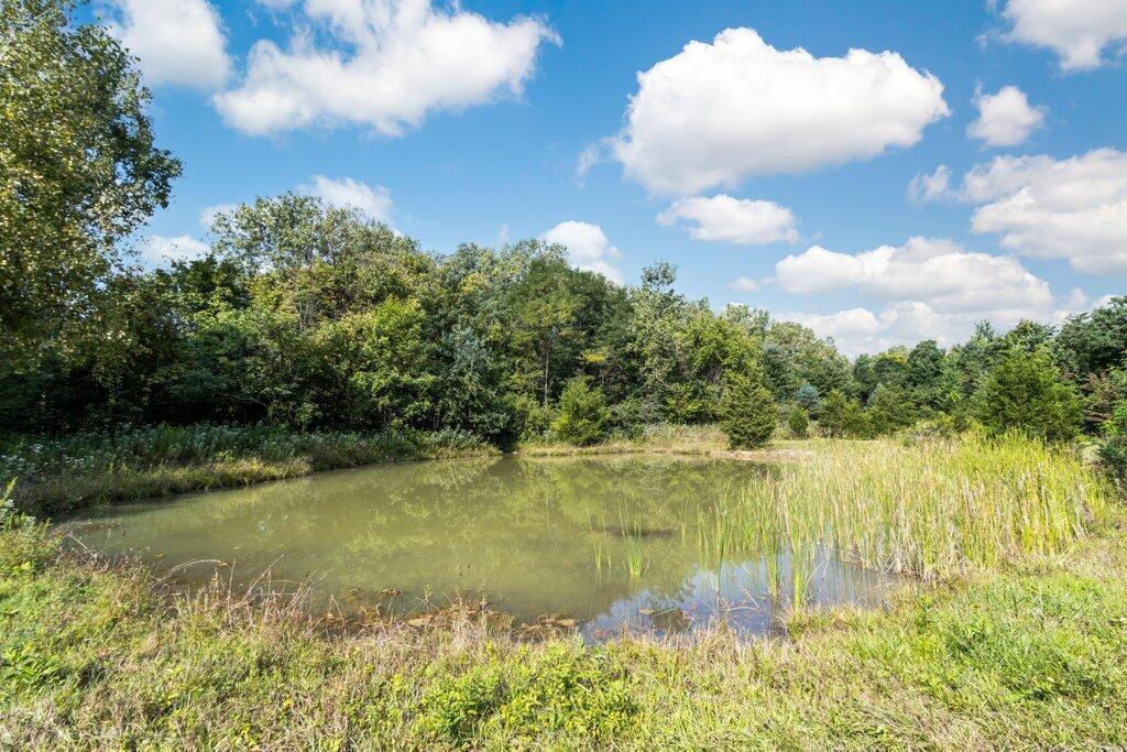 5441 Cheshire Road Galena, OH 43021 - Photo 29 of 33 The Pond.