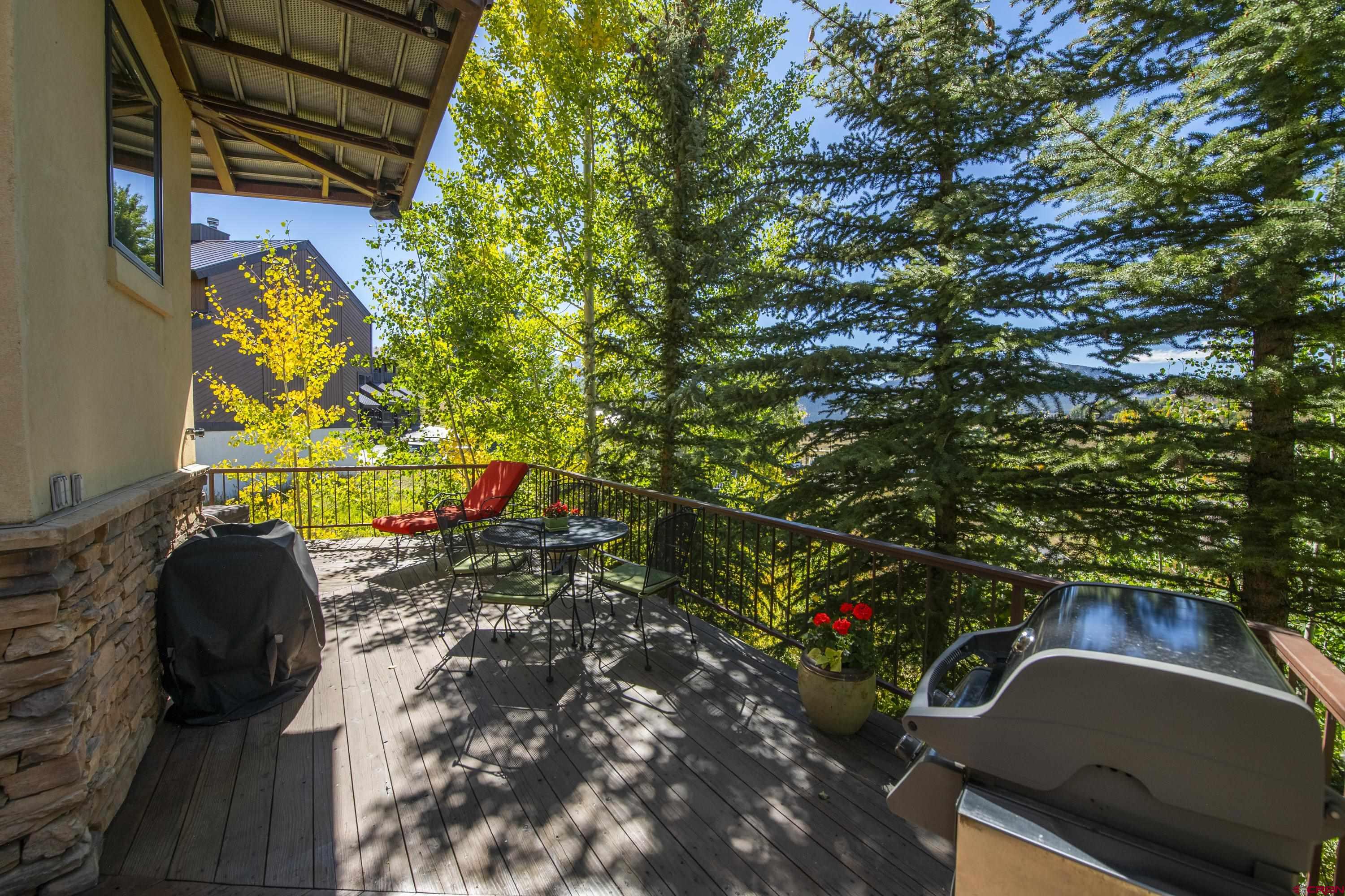 19 Castle Road, Unit 5 Crested Butte, CO 81225 - Photo 32 of 32 a view of outdoor space and patio