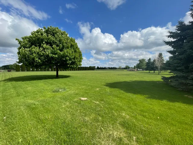 a view of field with trees in the background