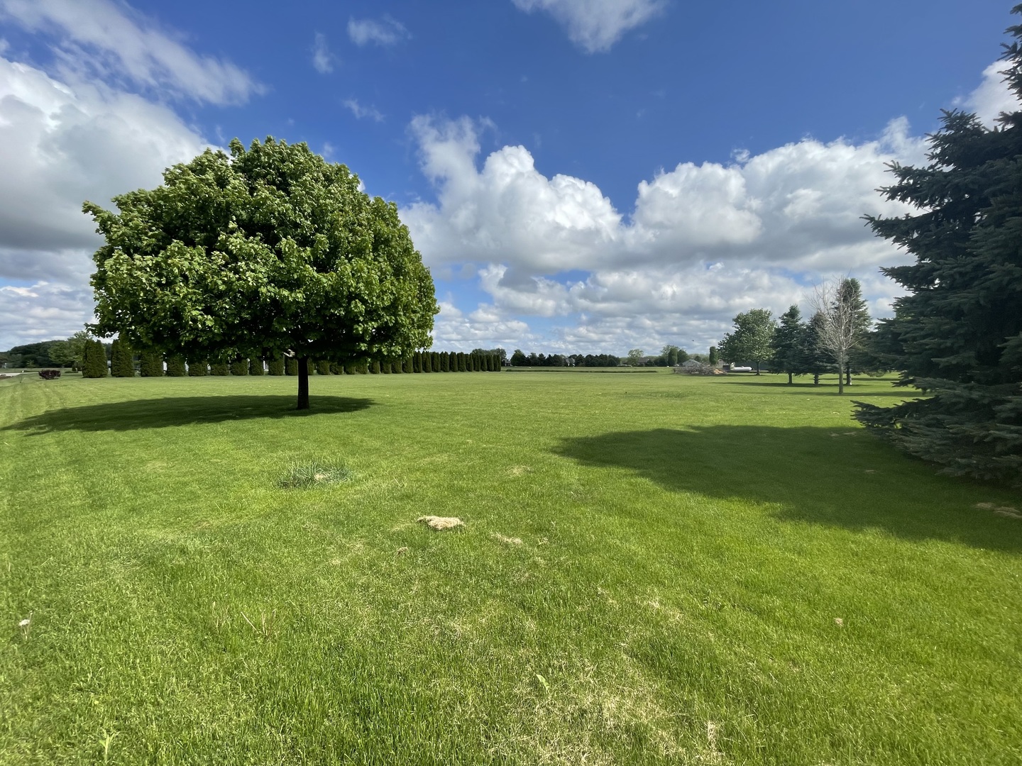 2434 North 4220th Road Sheridan, IL 60551 - Photo 2 of 4 a view of field with trees in the background