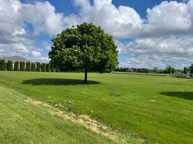 a view of a green field