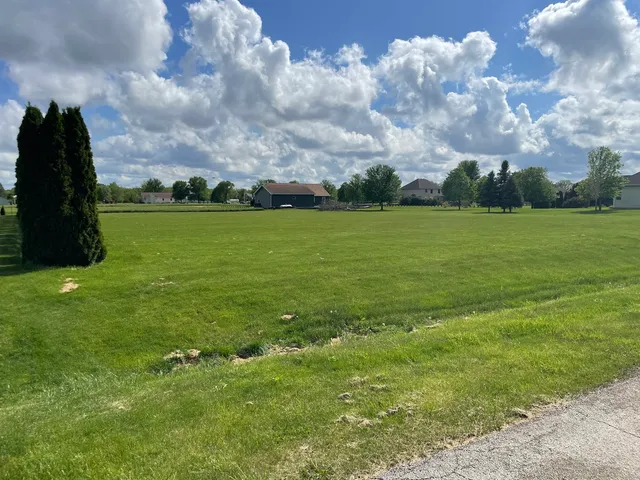 a view of a field with an trees in the background