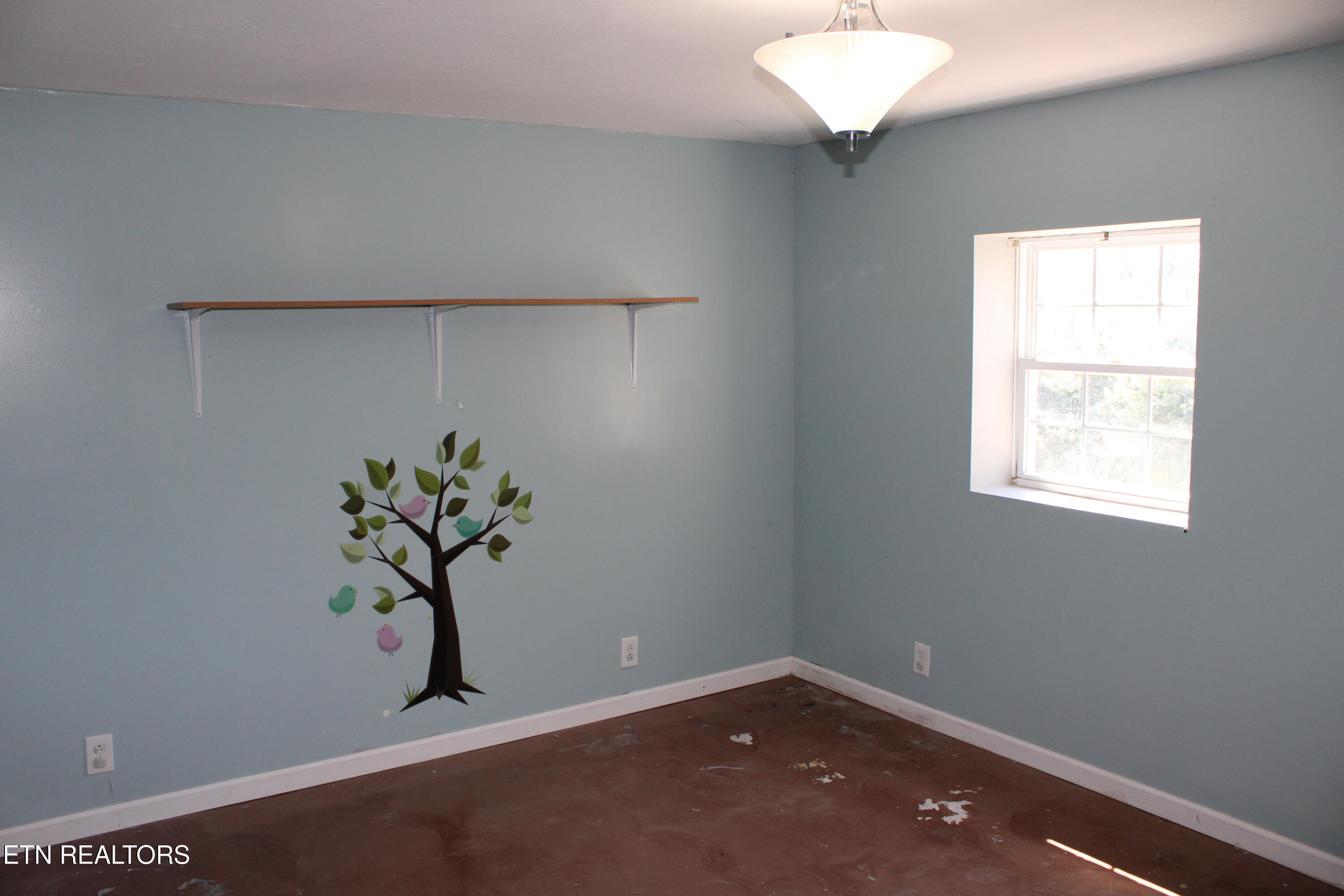 2151 Frank Hodge Road Talbott, TN 37877 - Photo 29 of 53 IMG_0247