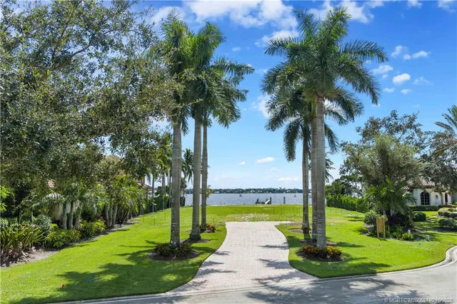 a view of a park with a palm tree