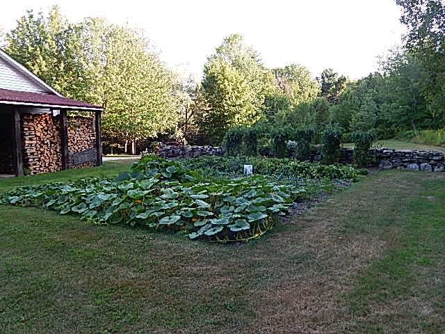 60 Church Road Bucksport, ME 04416 - Photo 32 of 34 Photo