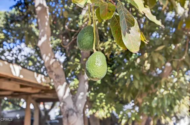 an aerial view of a house with a lake view
