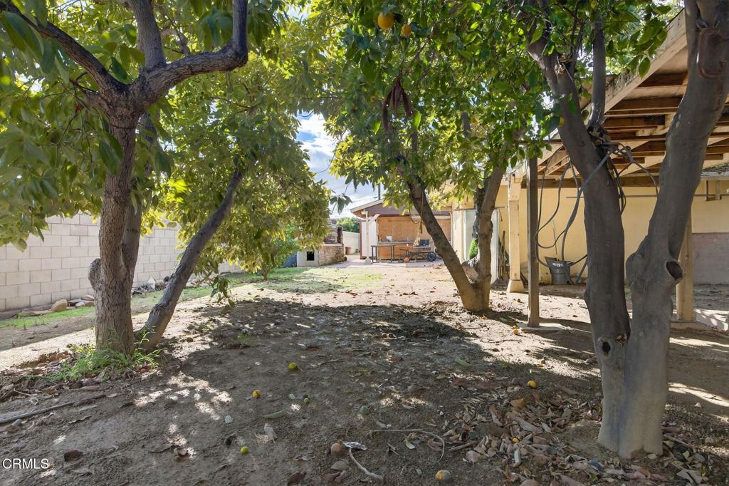 729 Ralph Way Santa Paula, CA 93060 - Photo 43 of 55