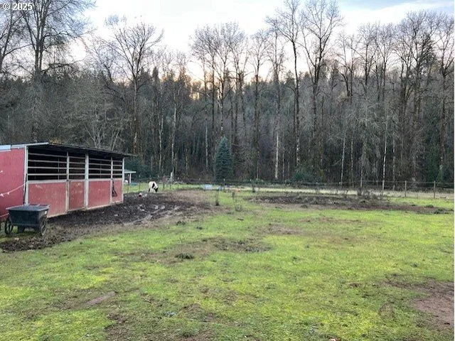 a backyard of a house with lots of green space