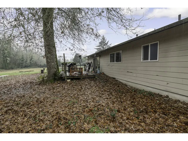 a view of a backyard